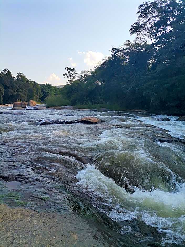 Lions Rock Rapids - Lodge