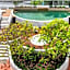 Alivio Hotel Cairns