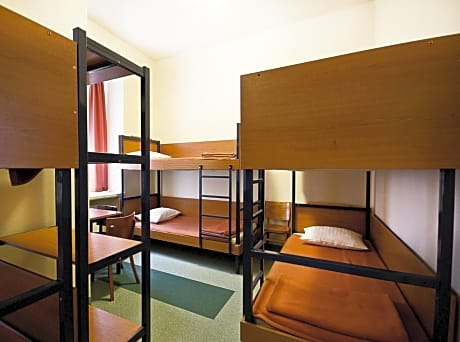 Single Bed in 10-Bed Dormitory Room