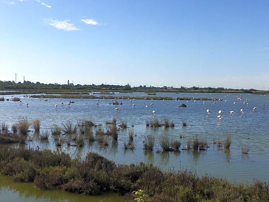 La casa di Celeste B&B