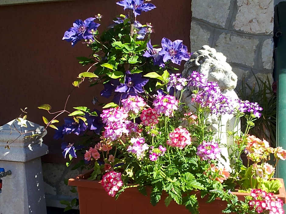 B&B Desenzano