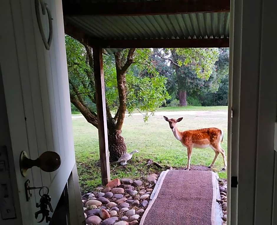 Green Hills Forest Lodge