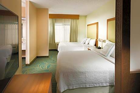 Queen Suite with Sofa Bed