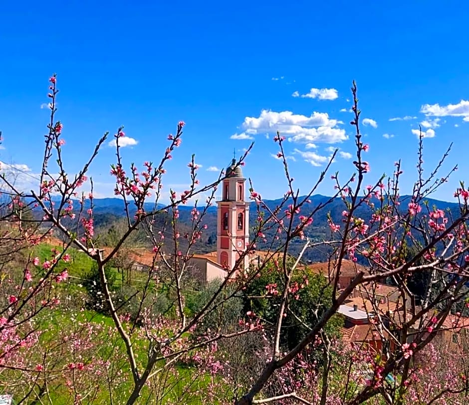 Locanda Agrogallo