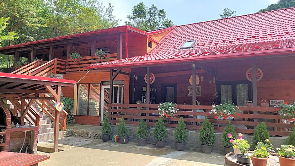Photo 1 of 50 of Cabana Alpha