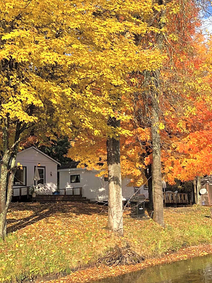 Beachside on Lake Muskoka
