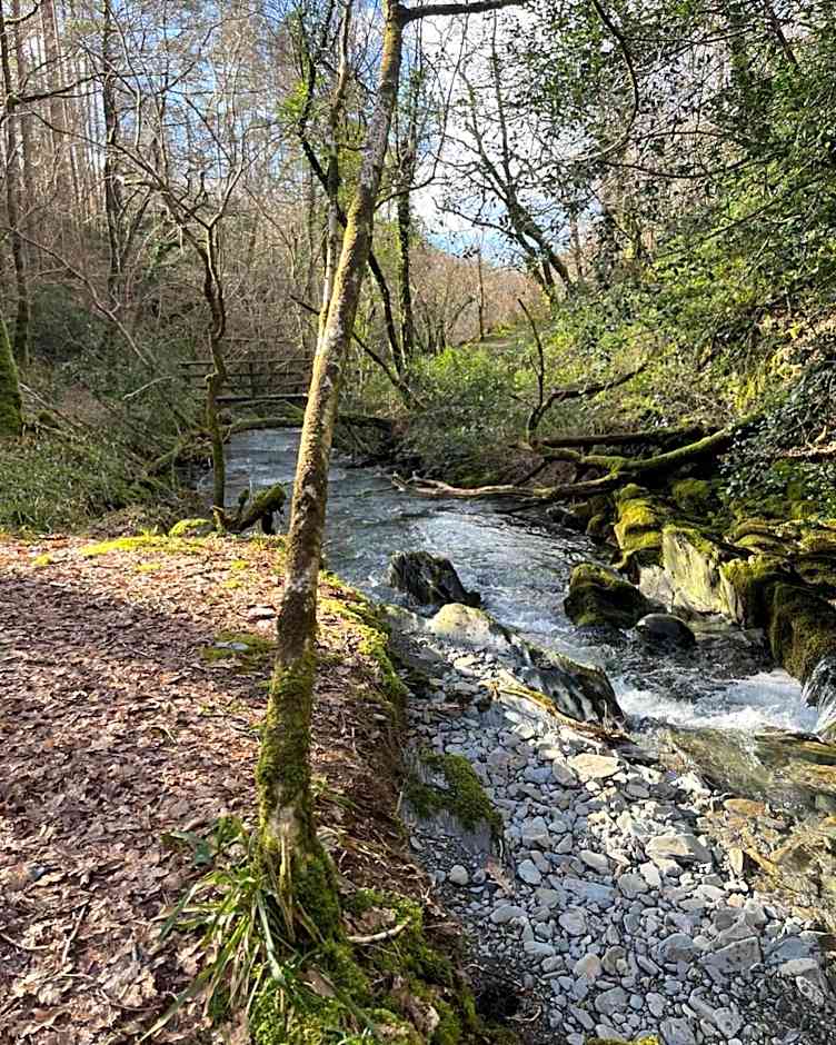 Llety Brynawel Guest House