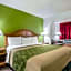 Econo Lodge & Suites Brinkley