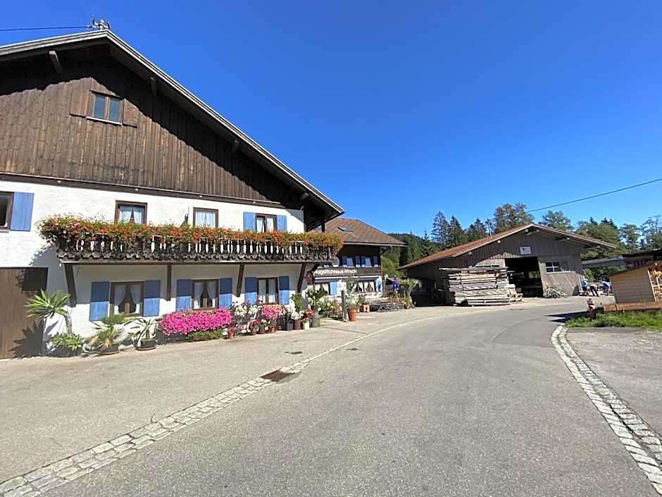 Nagelfluhhaus Hirsch