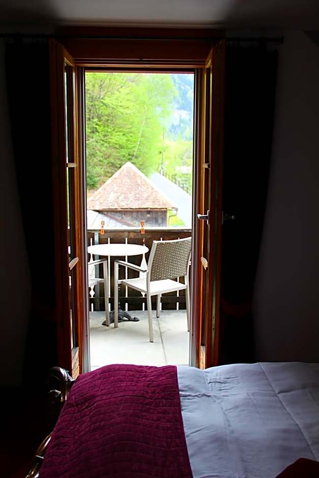 Historic Hotel Steinbock