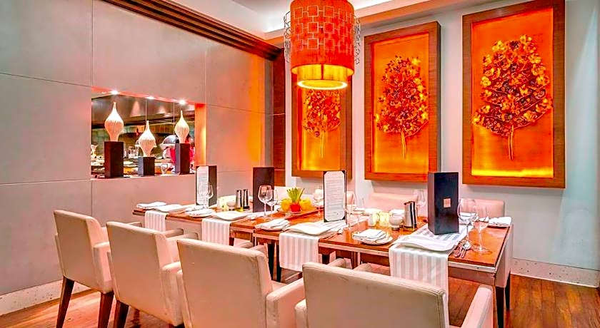 Hotel Hindustan International