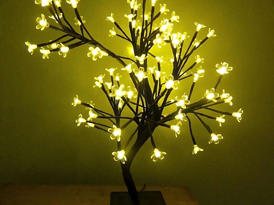 Peanuts Hostel & Meer