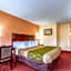 Econo Lodge Rocky Top