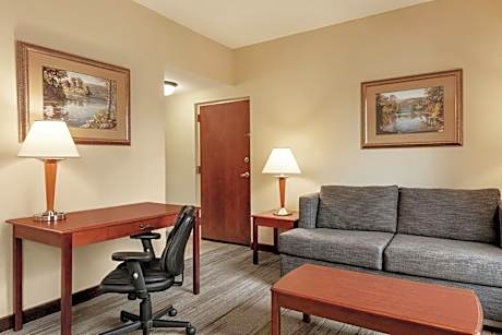 King Studio Suite with Sofa Bed - Non-Smoking