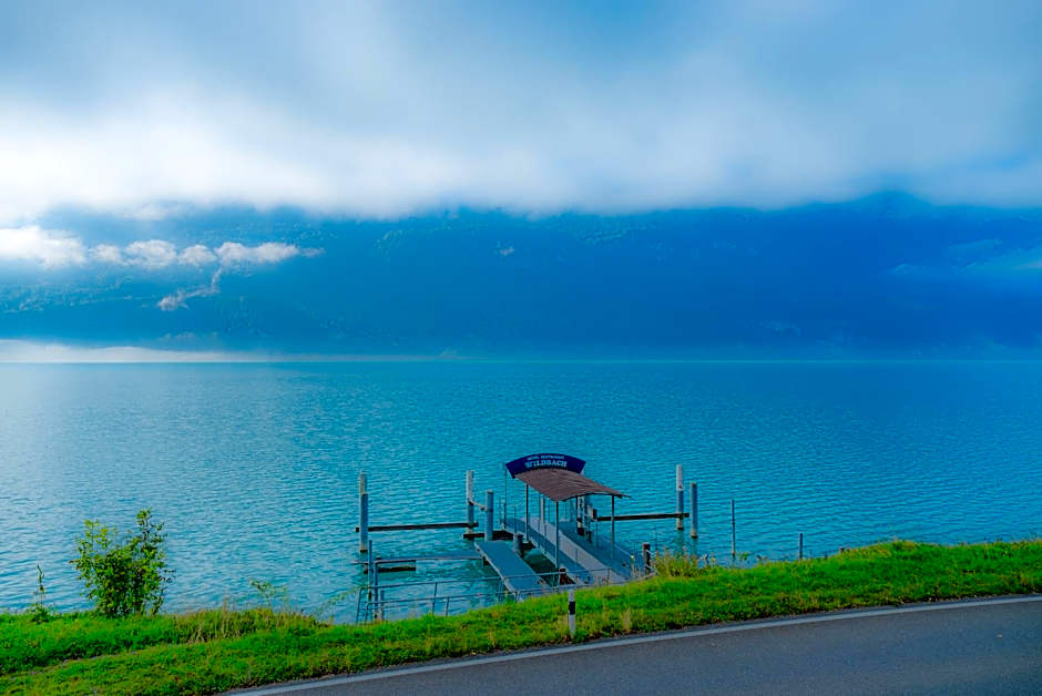 Hotel Wildbach Brienz