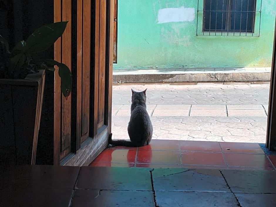 Casa Satoshi