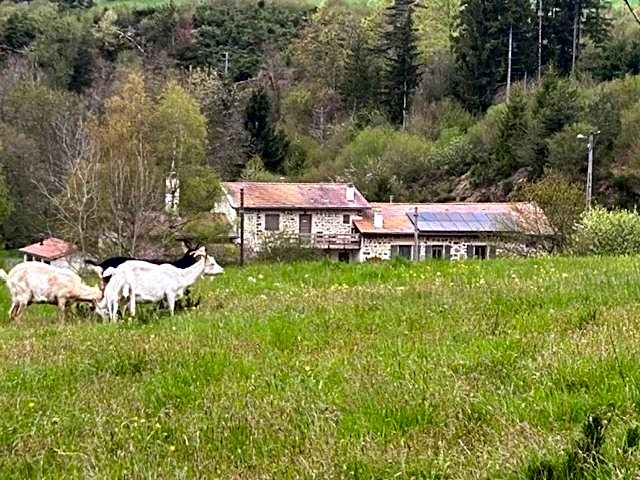 Moulin des Comtes - Chambre les Rochers