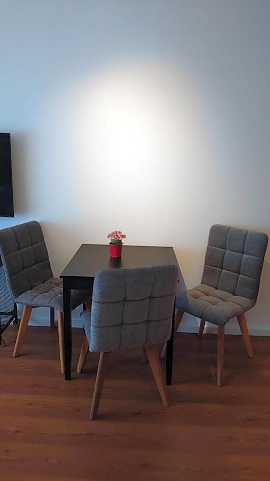 Maxim Apartments Mainz