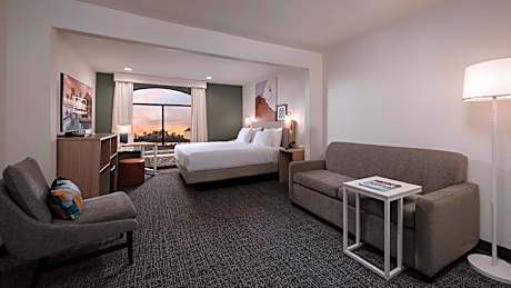 1 King Bed