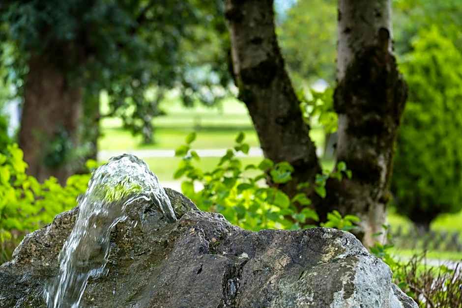 Hotel Apartment Auwirt