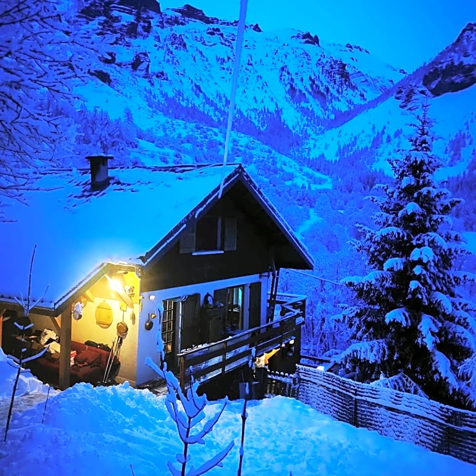 Les marmottes d Estenc