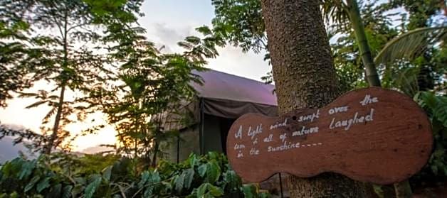 Grassroots Wayanad, Valley-view Tents