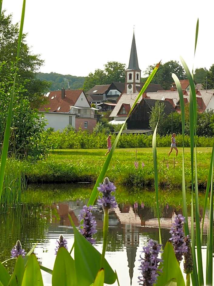 Blick zum Maimont