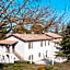 Fontepino