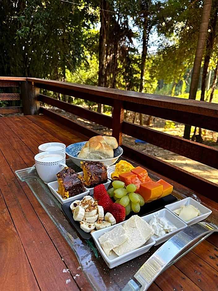 Estúdio em Contêiner no Bosque