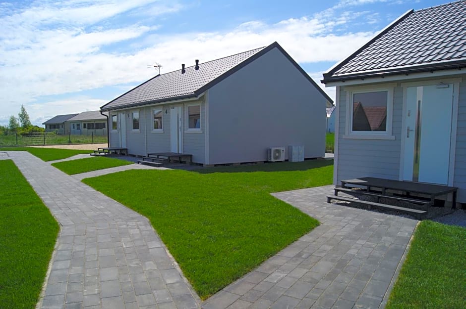 Szara Gąska w Gąskach