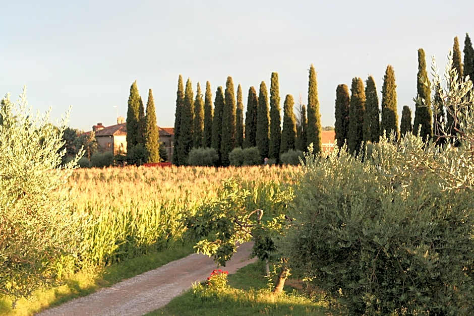 Cà Donzella