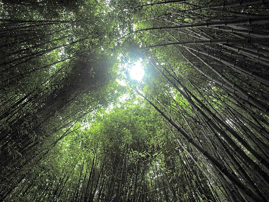 Balneario Hotel Dávila