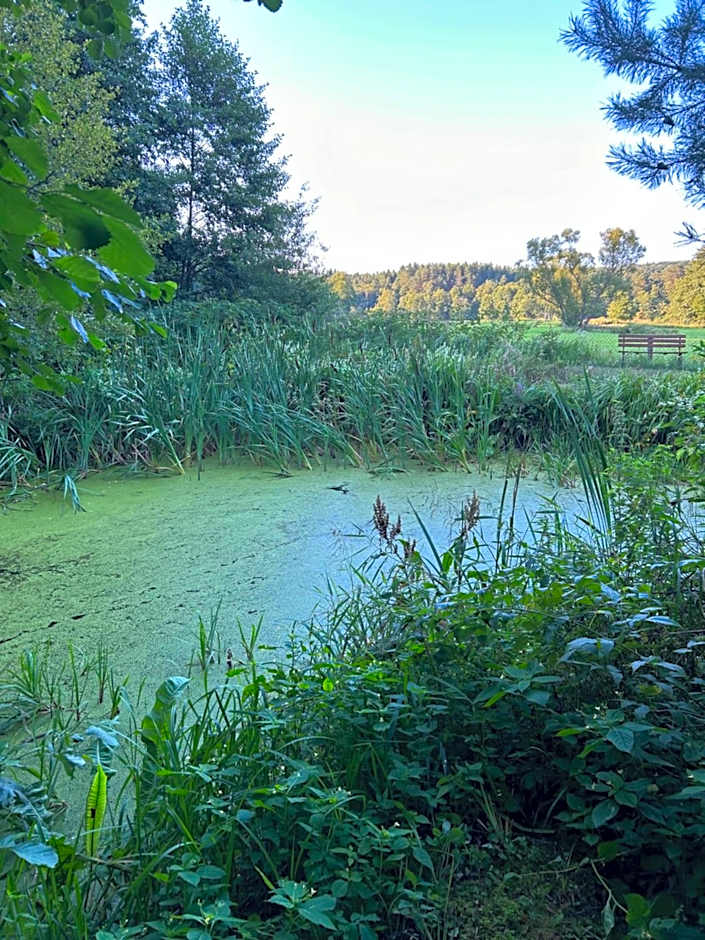 Agroturystyka Zacisze Guciów
