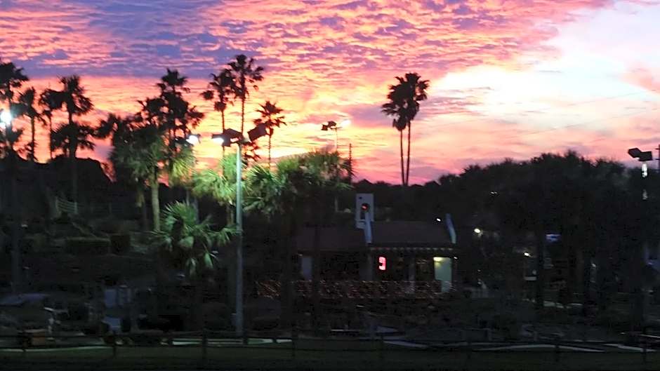 Driftwood Beach Motel