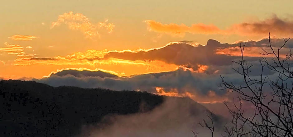 Viandanti, Artisti e Sognatori