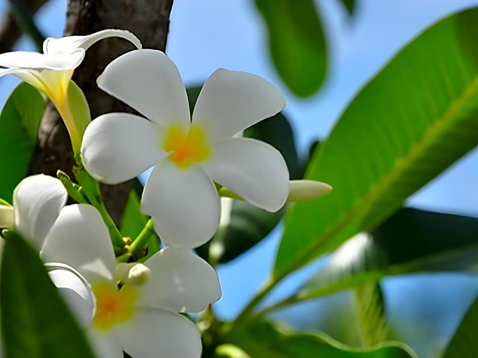Baan Jeen Hotel Samroiyod Beach
