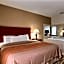Comfort Inn & Suites University South