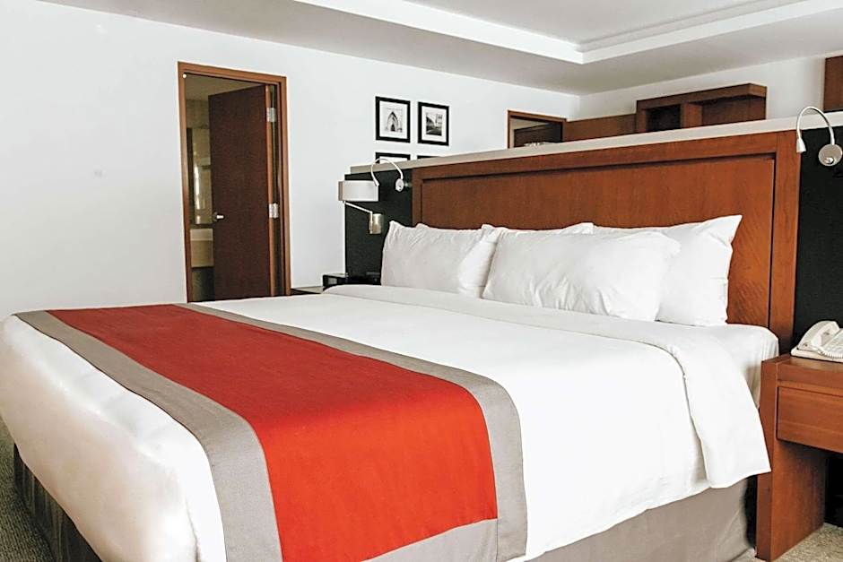 Radisson Poliforum Plaza Hotel Leon