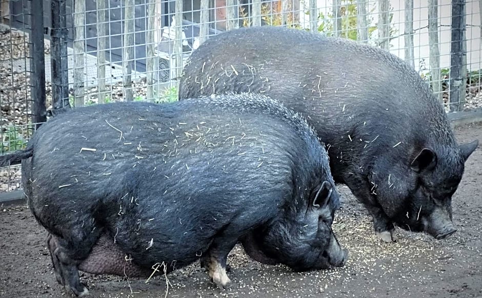 De Oude Stoffeerderij