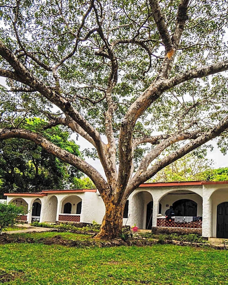 Diani Sea Lodge - All Inclusive