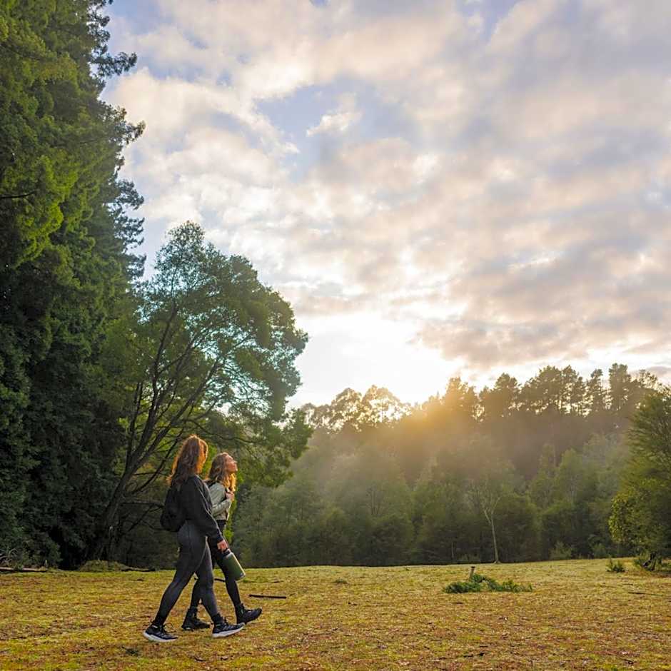 Alpine Hotel, Eat Drink Sleep