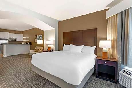 1 King Bed, Suite Nonsmoking