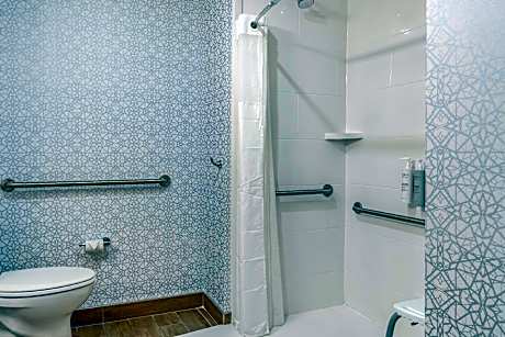 1 King Mobility/Hearing Acc Ri Shower