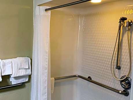 1 Queen Bed, Efficiency, Suite, No Smoking, Accessible Room