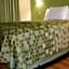 Econo Lodge Hot Springs