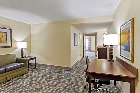 One-Bedroom King Suite - Non-Smoking