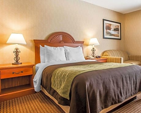 2 Double Beds, Nonsmoking, Accessible