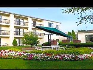 1 Bedroom 2 room Suite, 2 Queen, Sofa bed