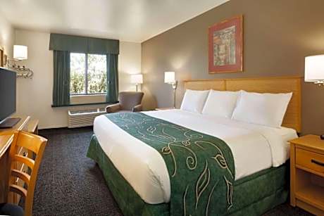 1 Queen Bed, Non-Smoking