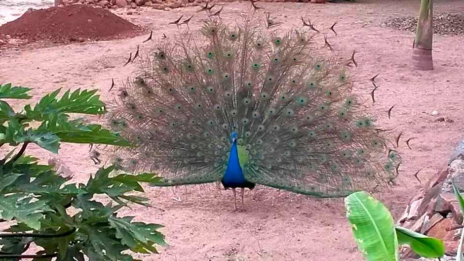 Serenity on the Lake